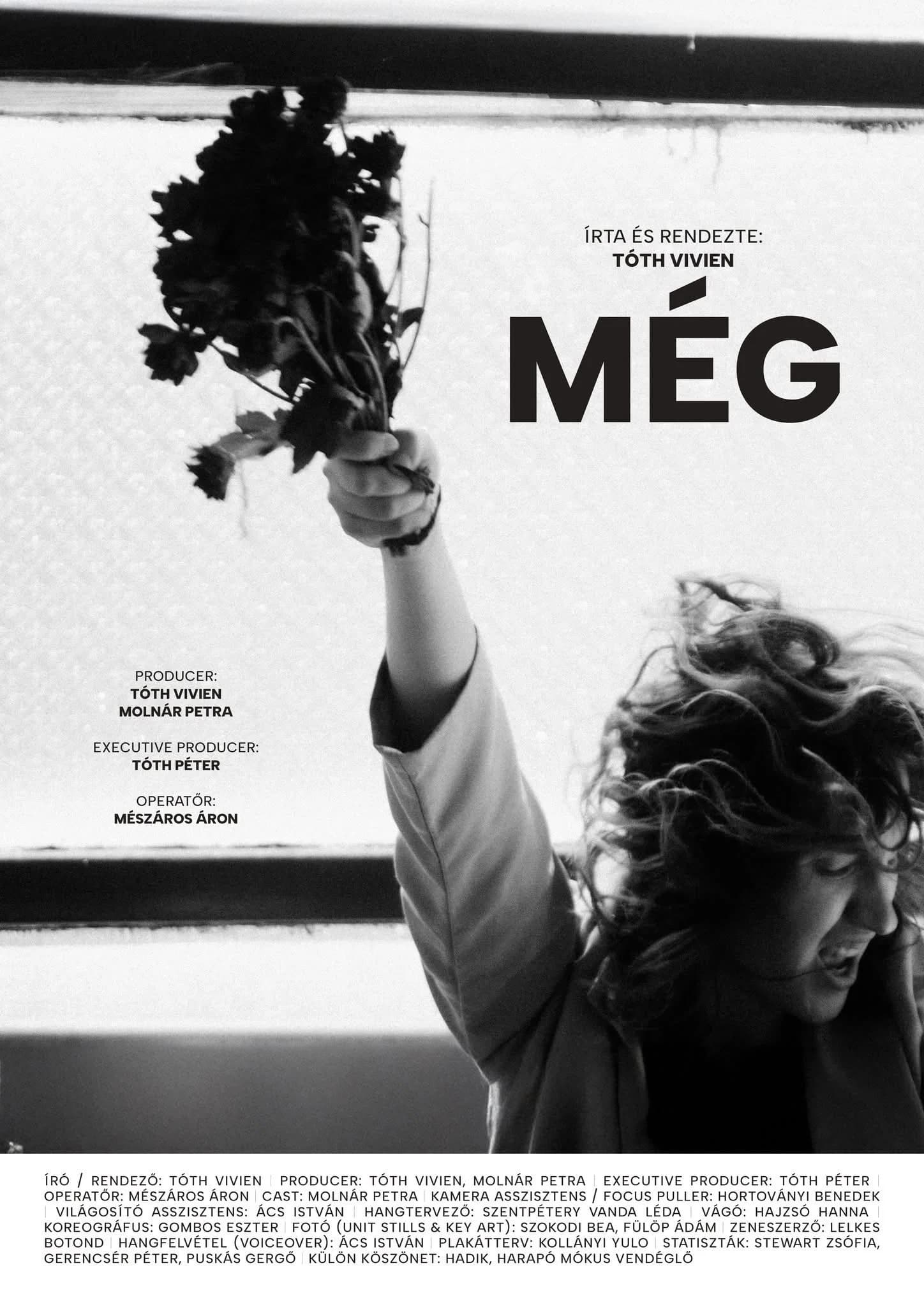 Még key art