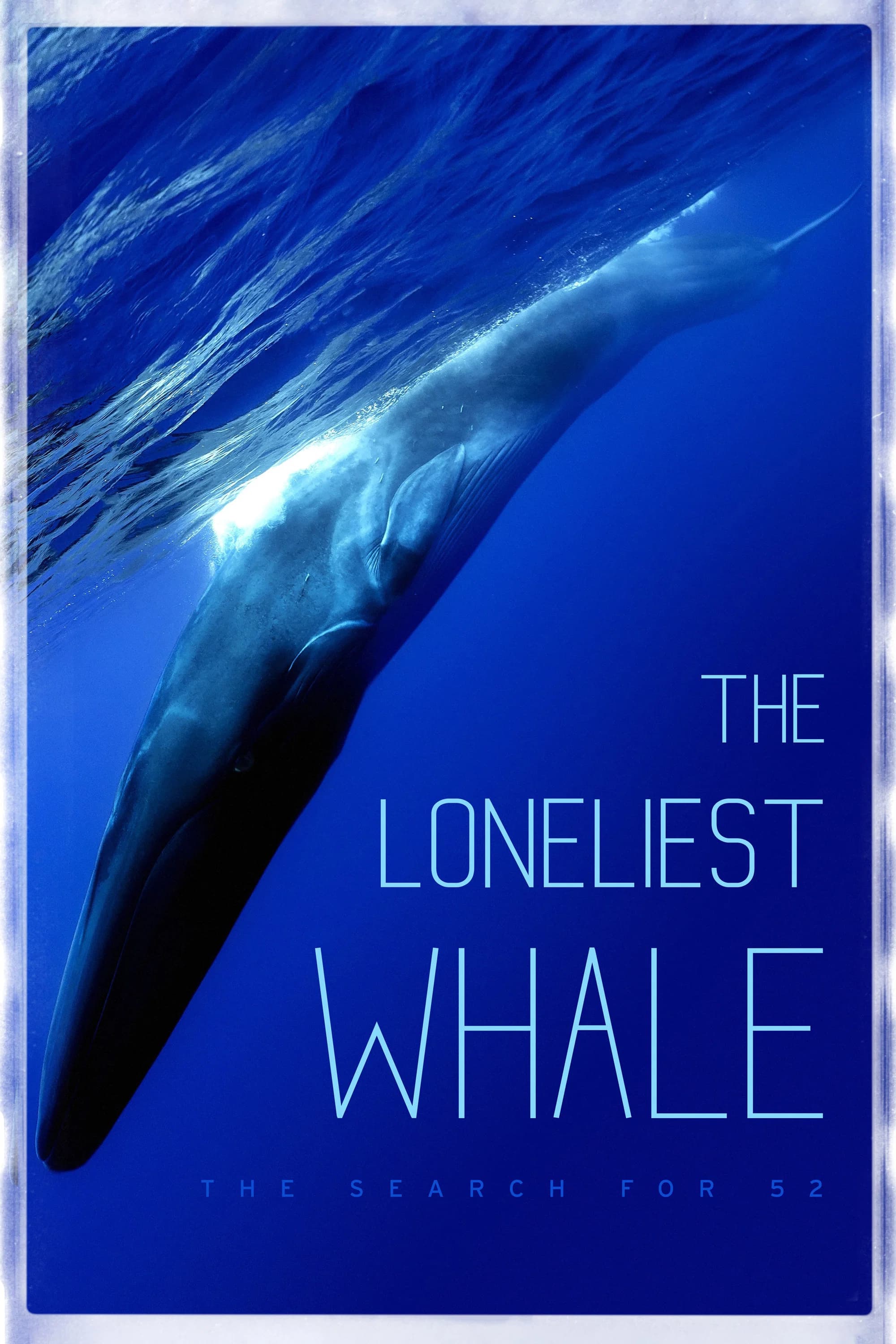 The Loneliest Whale: The Search for 52 key art